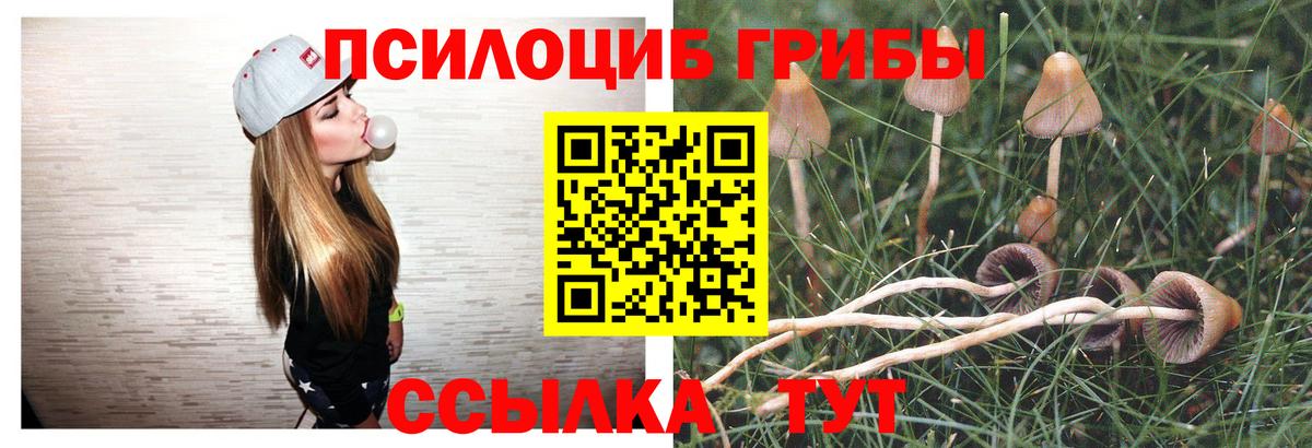 Галлюциногенные грибы Psilocybine cubensis  Вход с VPN  Новочебоксарск 